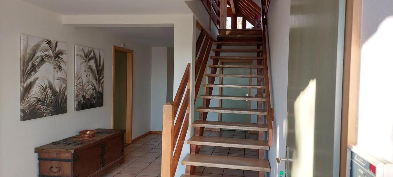 La Canopee Alsacienne - Magnifique Maison A Ribeauville Exterior foto